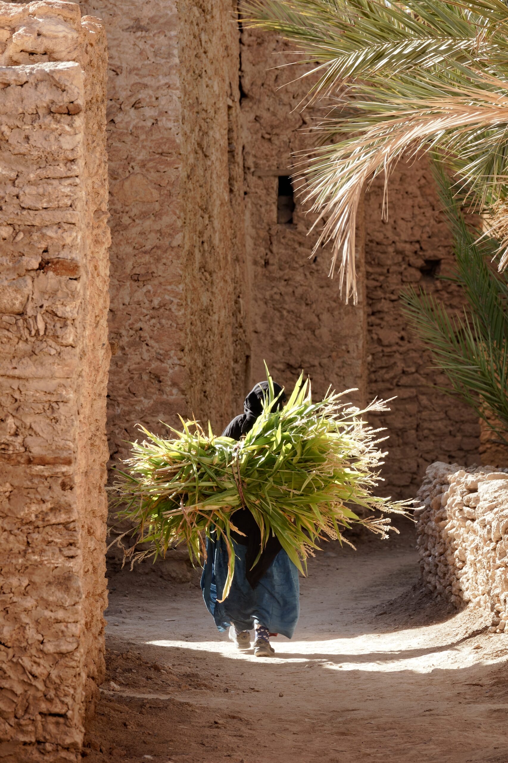 Maroc. Memory Road. Village de Tiskmoudine dans la région de l’Anti-Atlas.